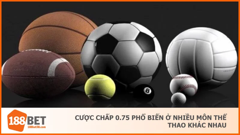 Cược chấp 0.75 phổ biến ở nhiều môn thể thao khác nhau
