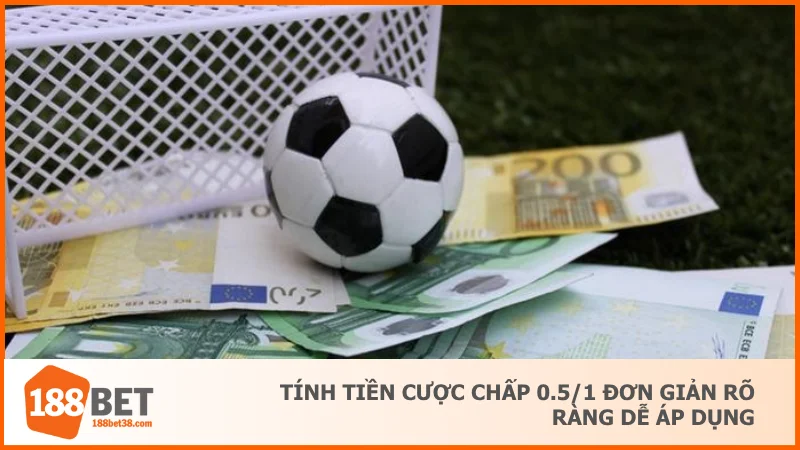 Tính tiền cược chấp 0.5/1 đơn giản rõ ràng dễ áp dụng